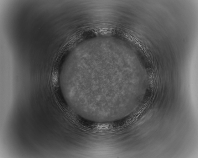 X0000096180709200802081459