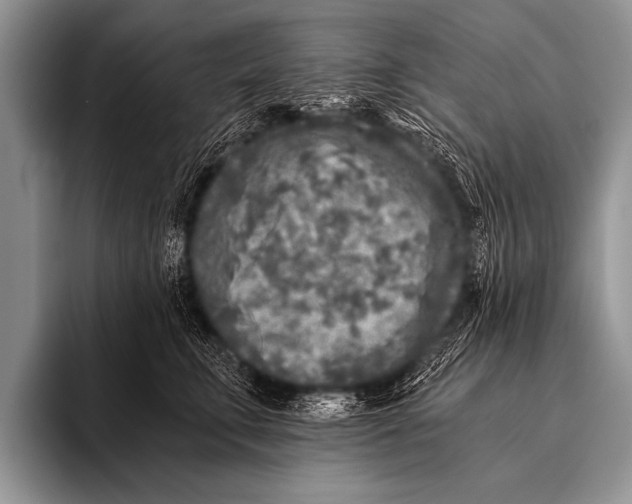 X0000096180711200802081459
