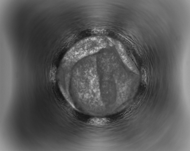 X0000096180712200802081459
