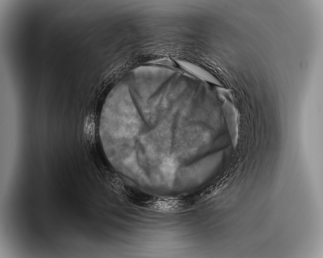 X0000096180720200802081459
