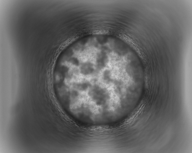 X0000096180721200802081459