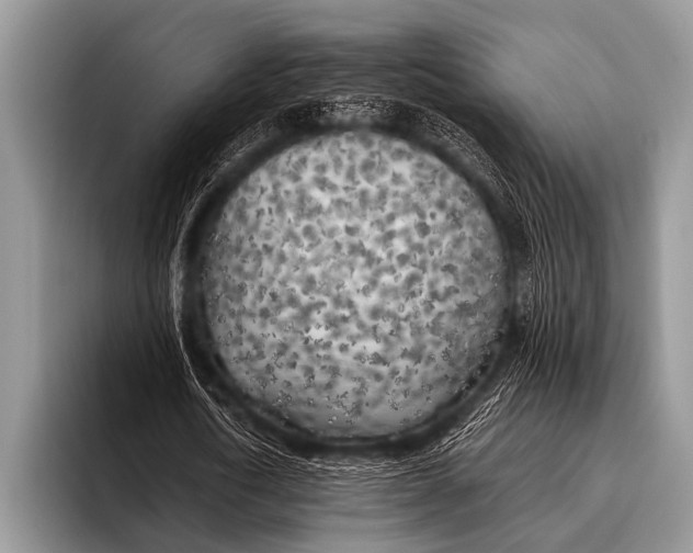 X0000096180722200802081459