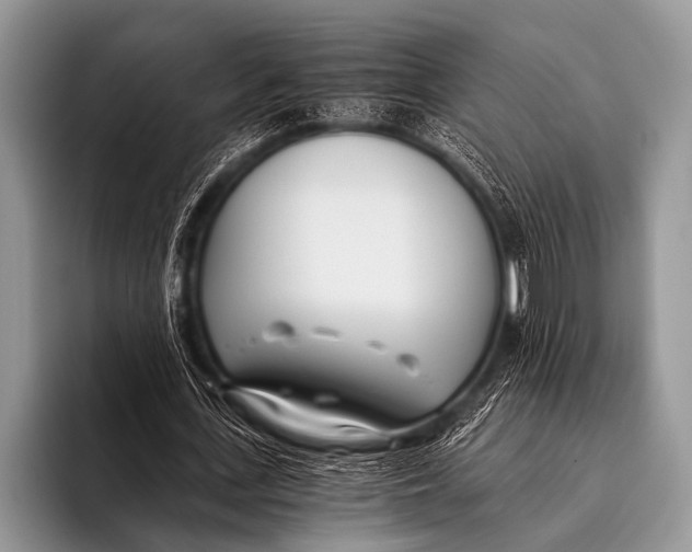 X0000096180723200802081459