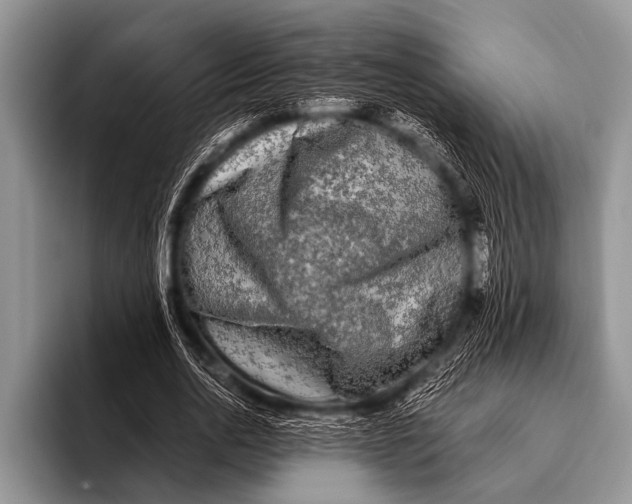 X0000096180726200802081459