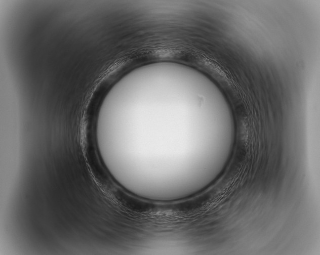 X0000096180730200802081459