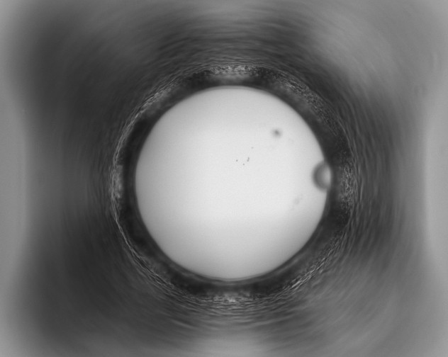 X0000096180731200802081459