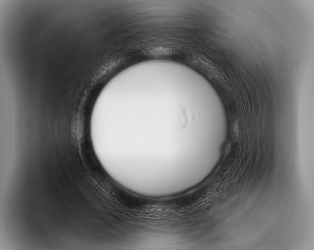 X0000096180732200802081459