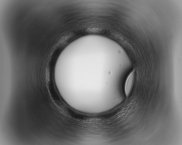 X0000096180734200802081459