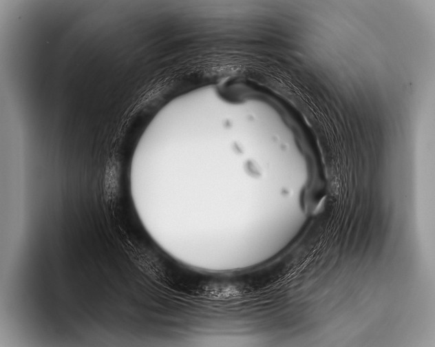 X0000096180735200802081459
