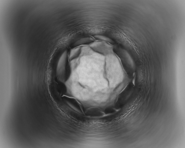 X0000096180736200802081459