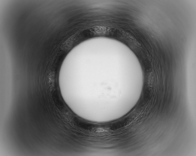X0000096180737200802081459