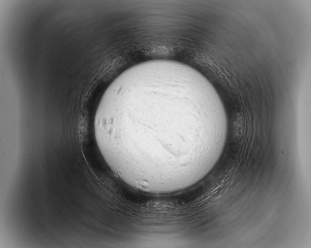 X0000096180739200802081459