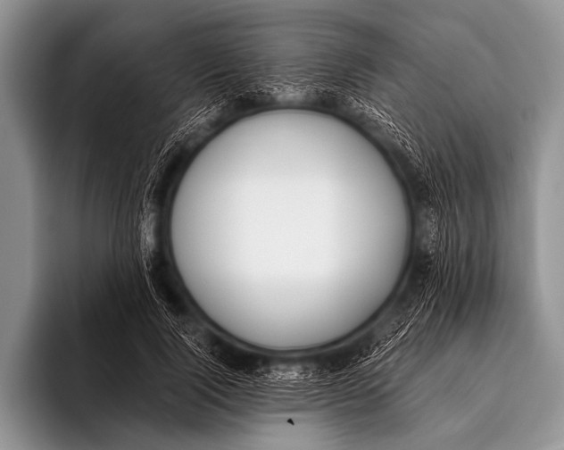 X0000096180740200802081459