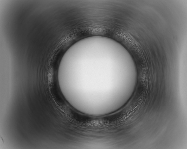 X0000096180744200802081459