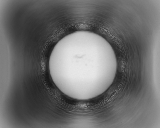 X0000096180746200802081459