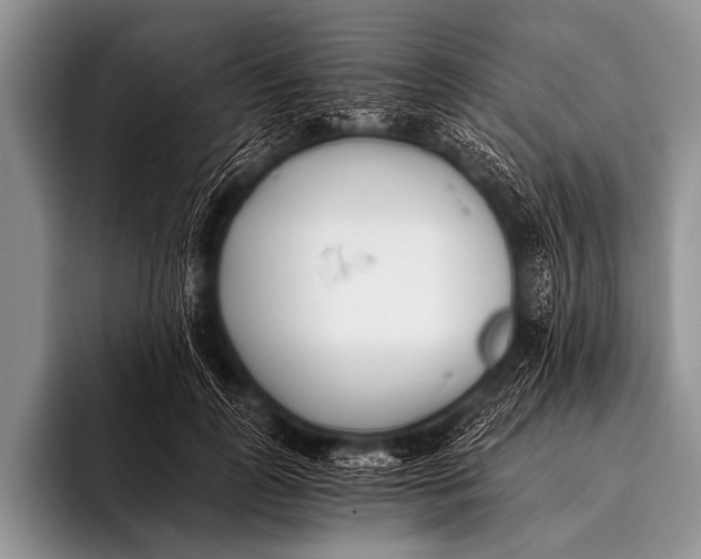 X0000096180747200802081459