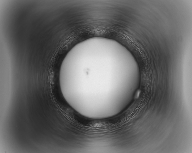 X0000096180750200802081459
