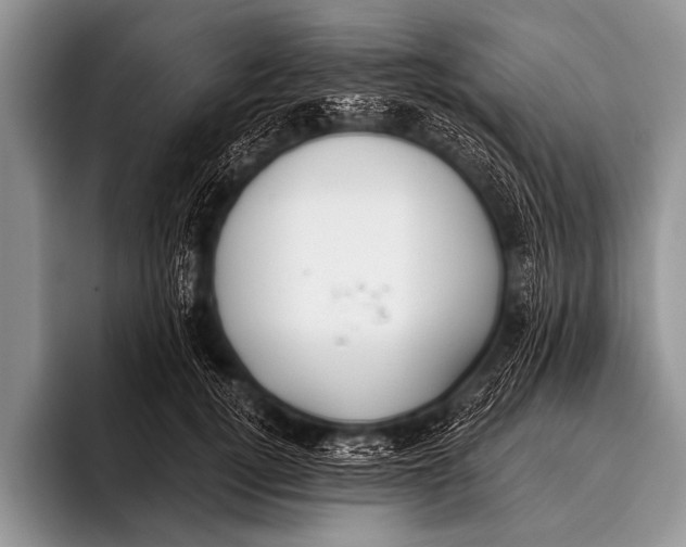 X0000096180752200802081459