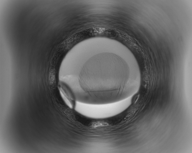 X0000096180754200802081459