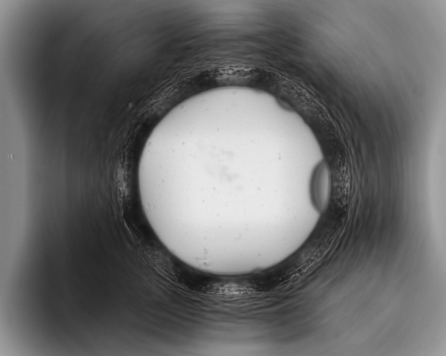 X0000096180755200802081459