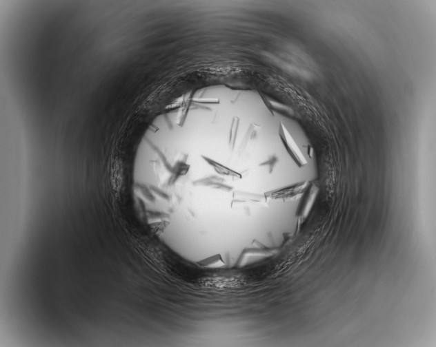 X0000096180758200802081459