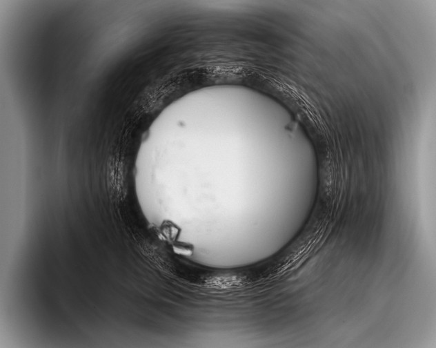 X0000096180759200802081459