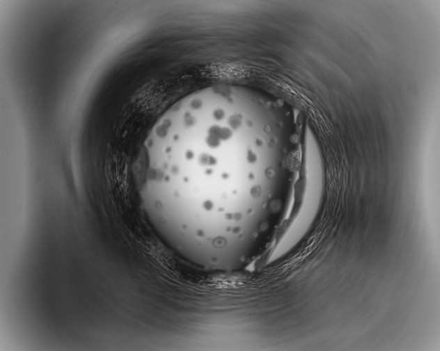 X0000096180762200802081459