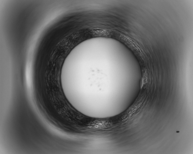 X0000096180764200802081459