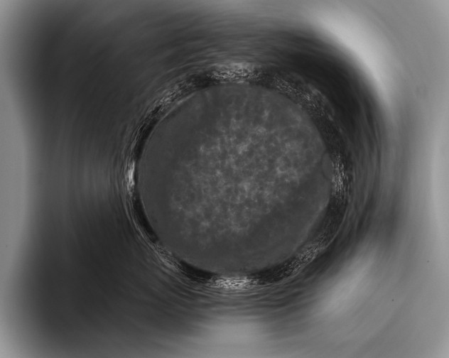 X0000096180767200802081459