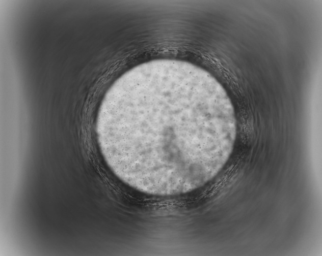 X0000096180769200802081459