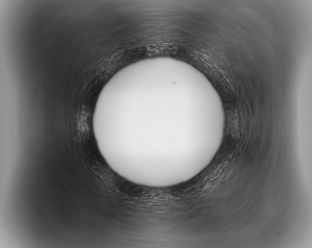 X0000096180770200802081459