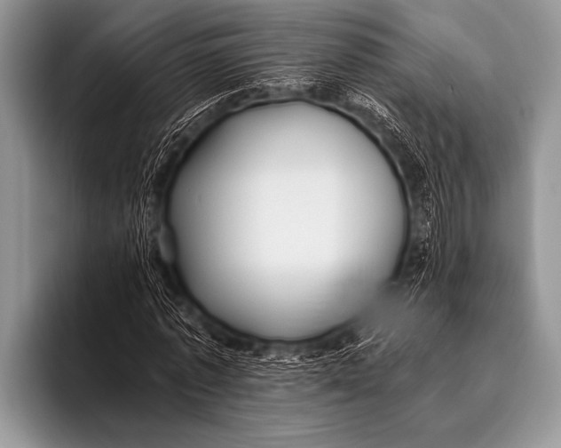 X0000096180773200802081459