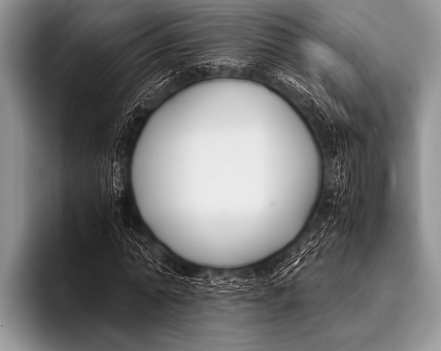 X0000096180774200802081459