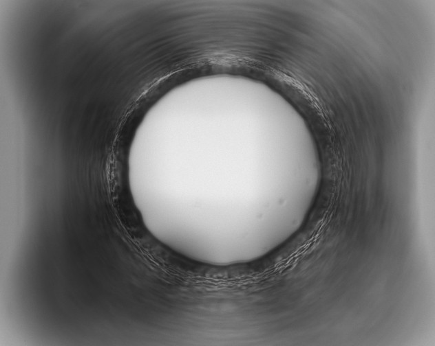 X0000096180776200802081459