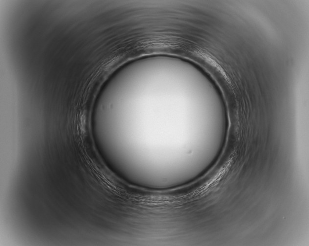 X0000096180777200802081459