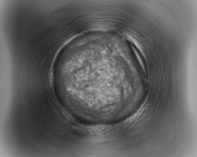 X0000096180779200802081458