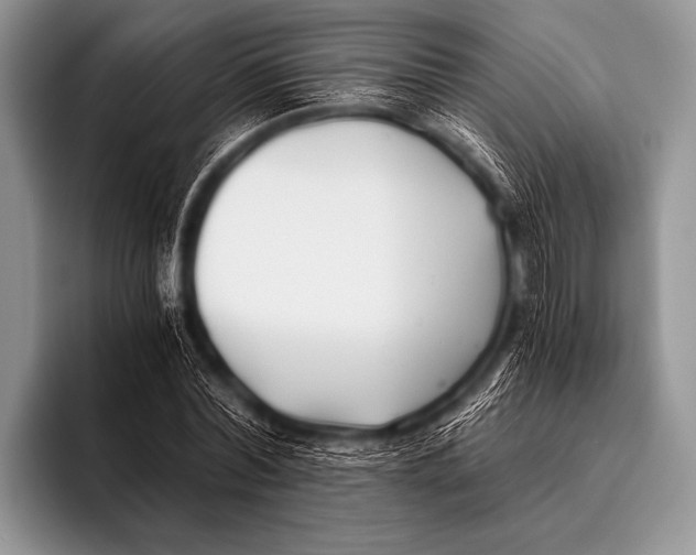 X0000096180780200802081458