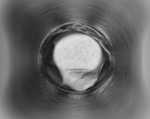 X0000096180781200802081458