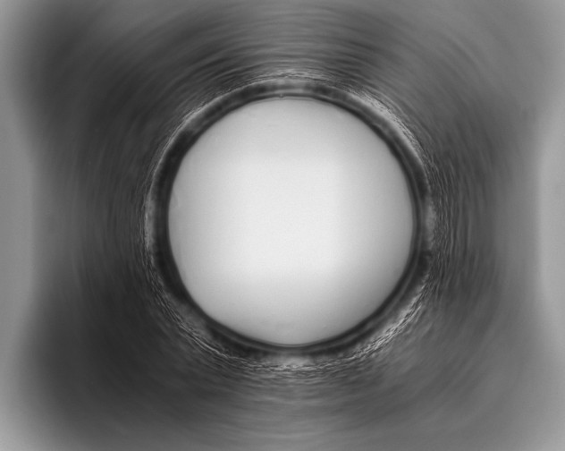 X0000096180783200802081458