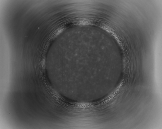 X0000096180785200802081458