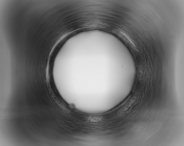 X0000096180788200802081458
