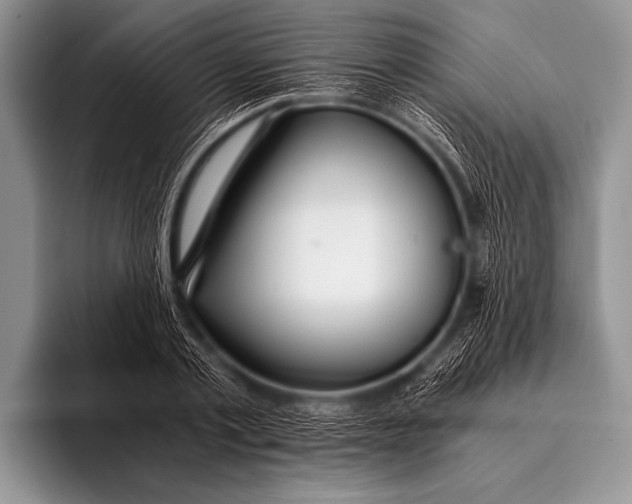 X0000096180789200802081458