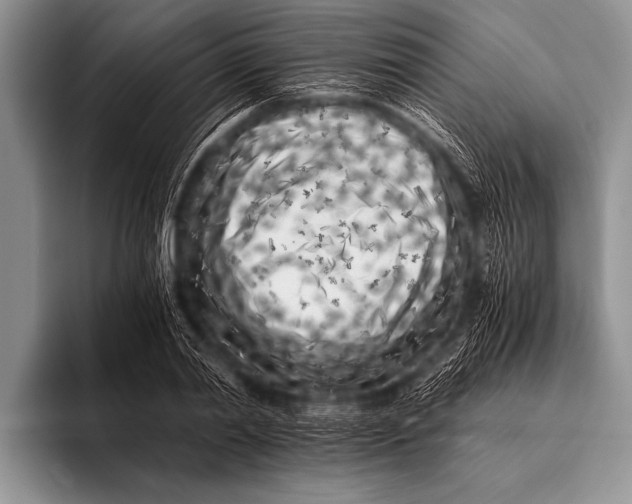 X0000096180790200802081458