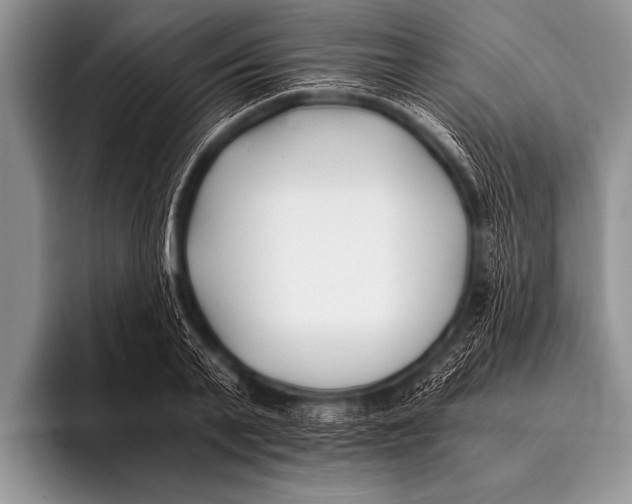 X0000096180791200802081458