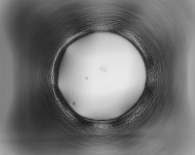 X0000096180795200802081458