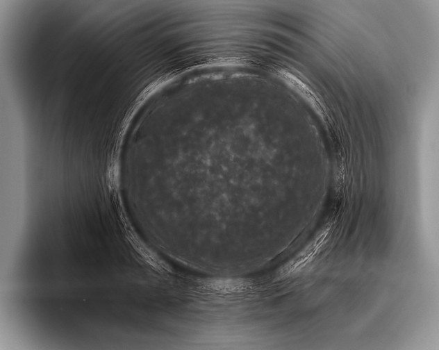 X0000096180797200802081458