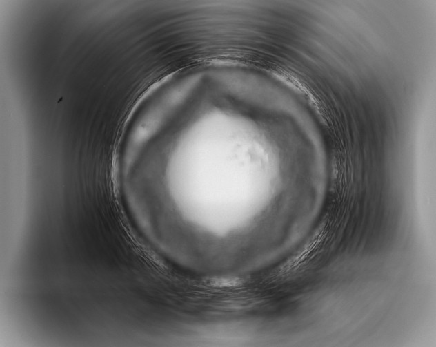 X0000096180798200802081458
