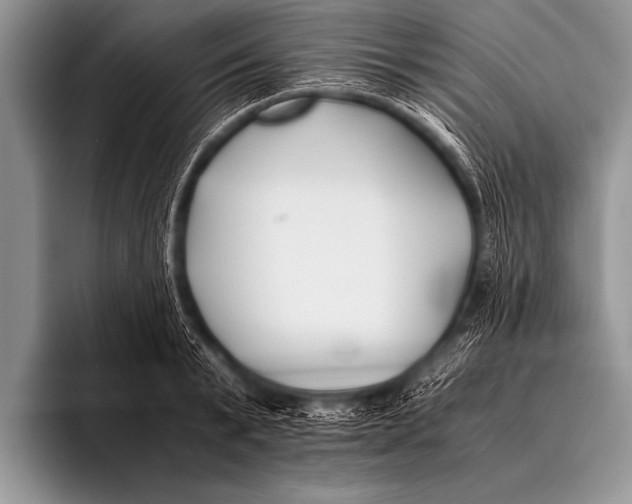 X0000096180799200802081458
