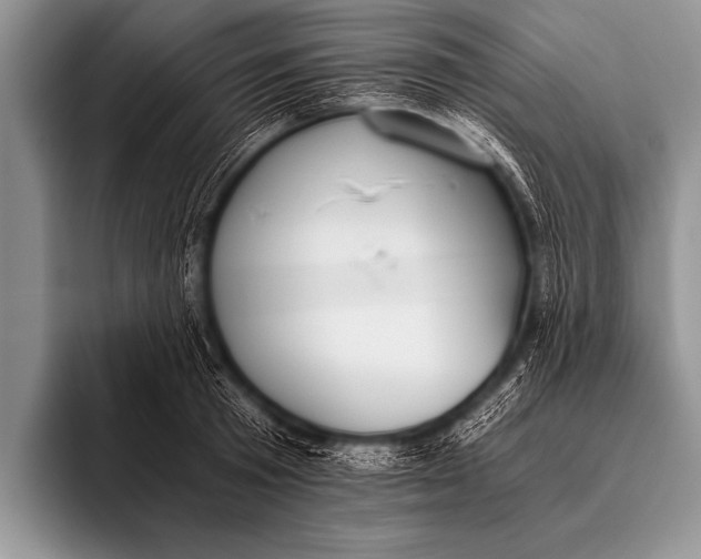 X0000096180801200802081458