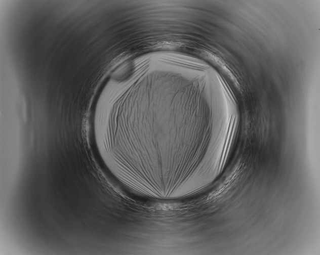 X0000096180802200802081458